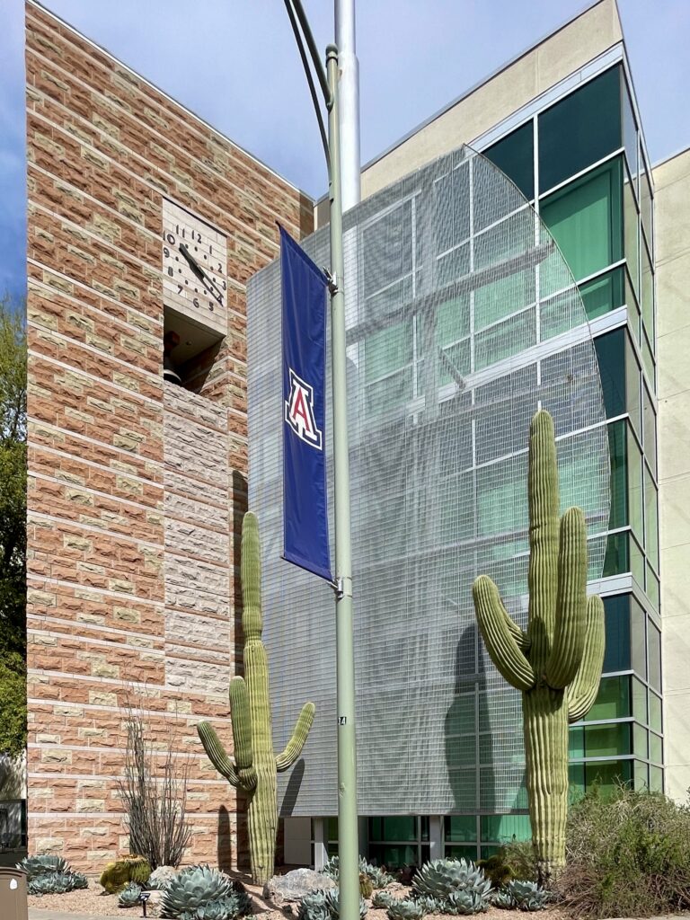 University of Arizona campus building with a UA banner and saguaro cacti in Tucson