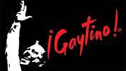 Gaytino - Coming to a Rialto Theater Near You