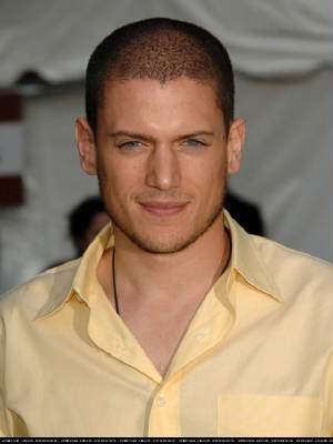 Wentworth Miller Rejects Russia
