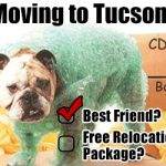 Tucson-Free-Relocation-Package-Dog