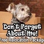 Tucson-Free-Relocation-Package-Puppy-in-Box