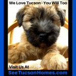 we-love-tucson-46