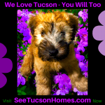 we-love-tucson-71