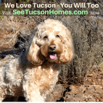 we-love-tucson-83