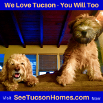 we-love-tucson-95