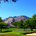 Golf Course Homes for Sale