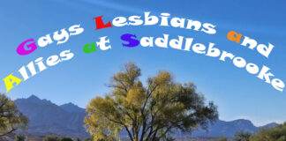 GLAAS - Gays Lesbians and Allies at SaddleBrooke AZ - 2020 Board of Directors