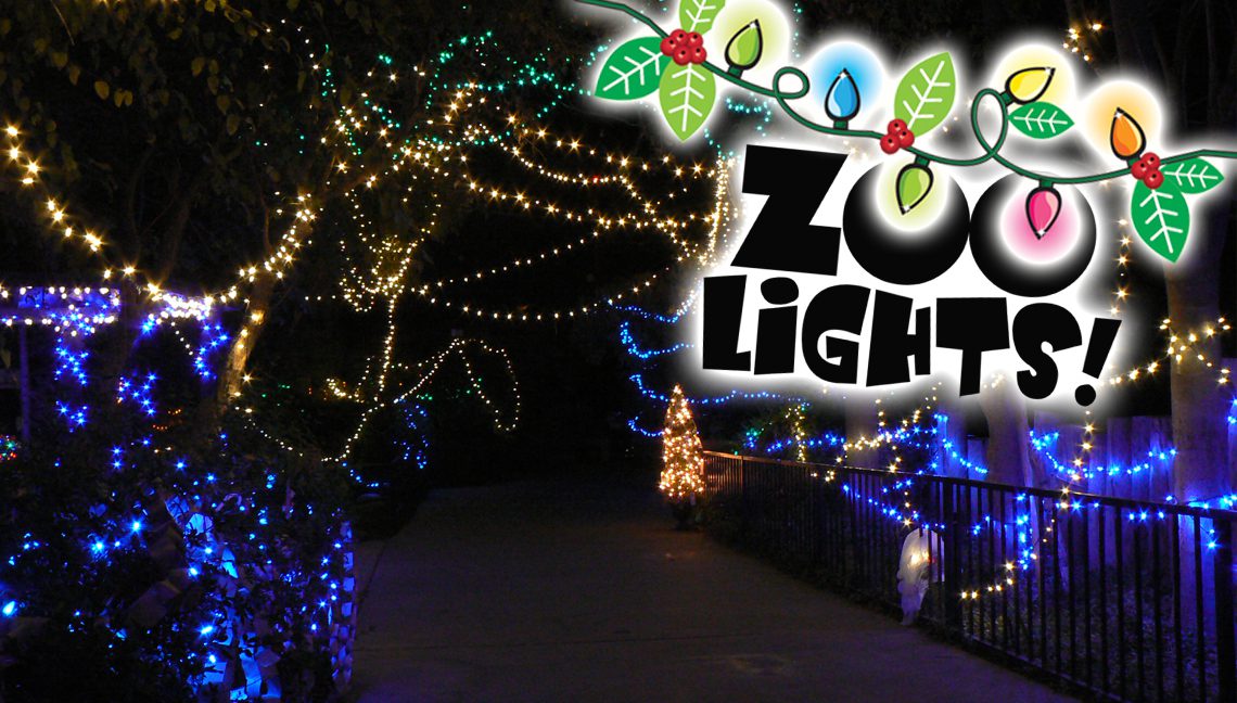 Zoo Lights Tucson Gay Bars, Gay Tucson Realtor