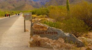 Entrance sign to Sabino Canyon reading 'WELCOME TO SABINO CANYON' amidst Tucson weather, a favorite spot for a Gay Tucson Real Estate agent and the LGBTQ community.