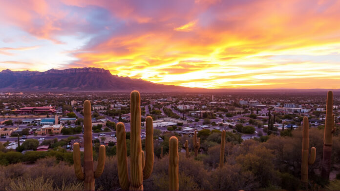 Sunrise over the Santa Catalina Mountains with the Tucson city skyline in the foreground, framed by desert cacti.